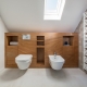 bathroom attic design